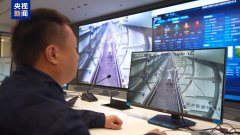 们具备如何的“实和”能力